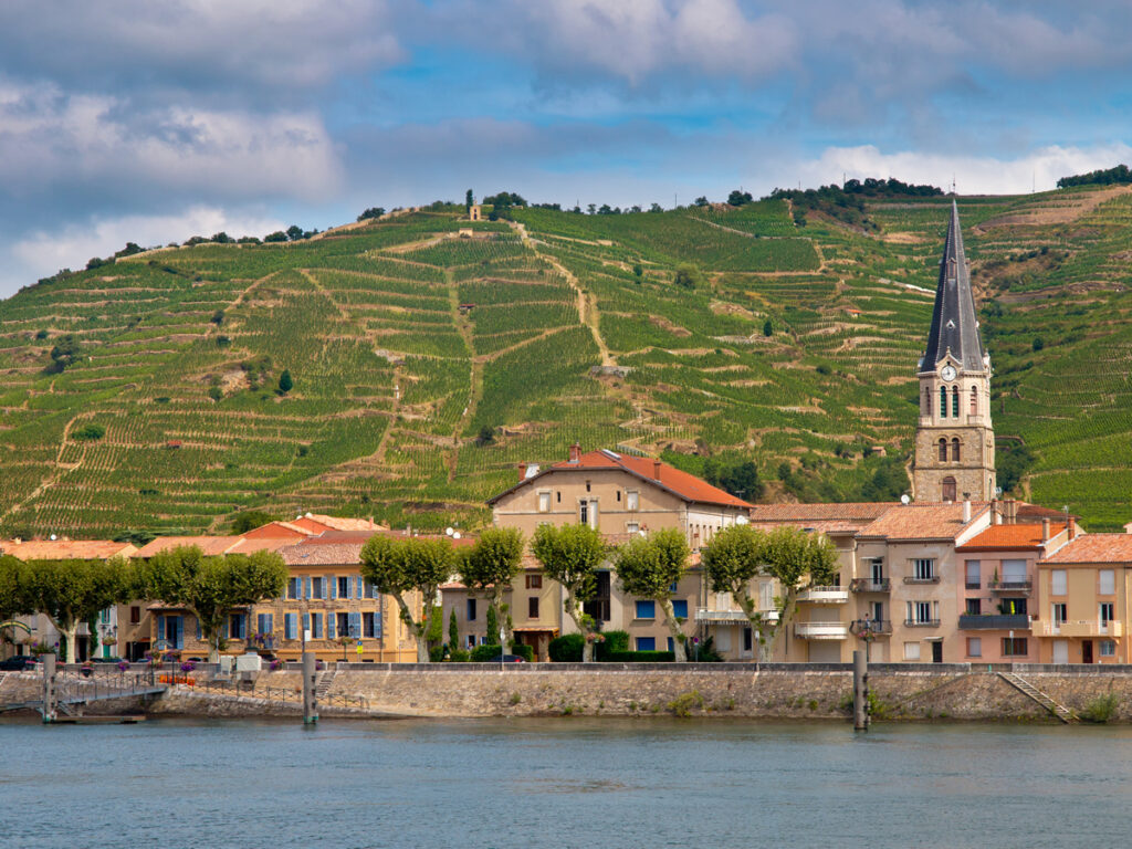 Cote Du Rhone, France Wine Region